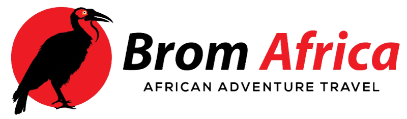 Brom Africa Logo. Southern Ground Hornbill in front of the sun