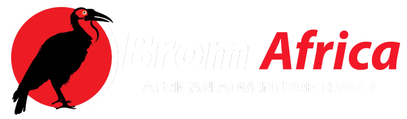 Brom Africa Logo. Southern Ground Hornbill in front of the sun
